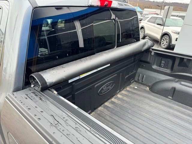 2025 Ford F-150 Platinum - Photo 10