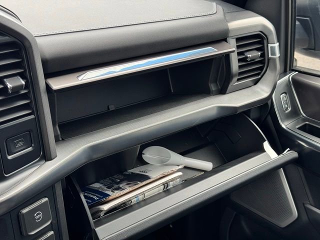 2025 Ford F-150 Platinum - Photo 32