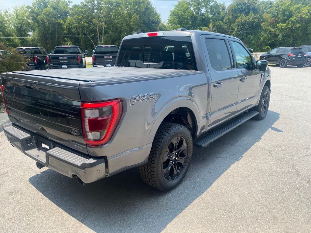 2023 Ford F-150 Platinum - Photo 9