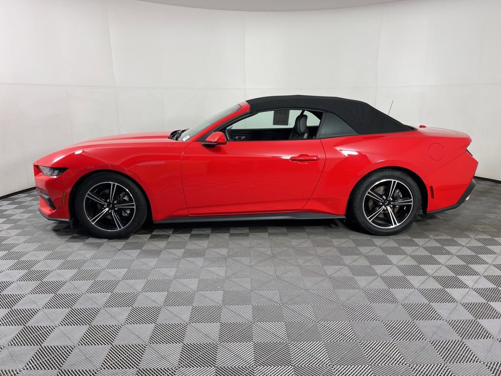 Used 2024 Ford Mustang EcoBoost with VIN 1FAGP8UH9R5106199 for sale in Fayetteville, AR