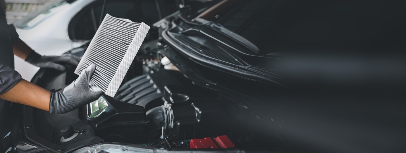 Filter Replacement service