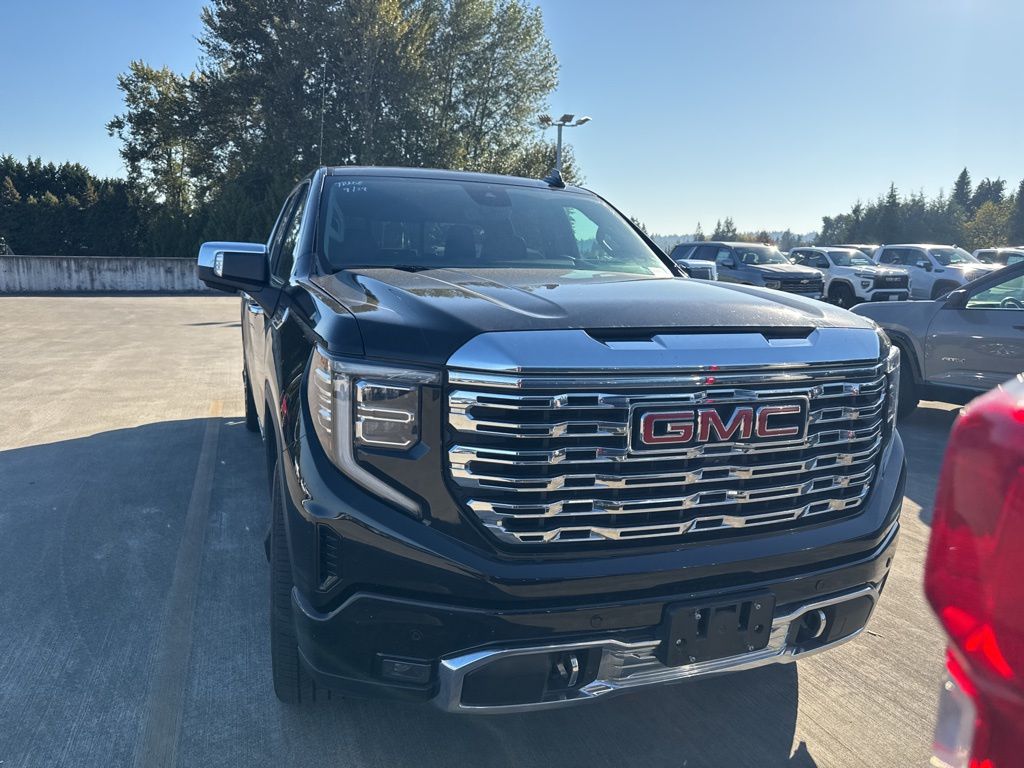 2023 Gmc Sierra 1500 Denali photo 2