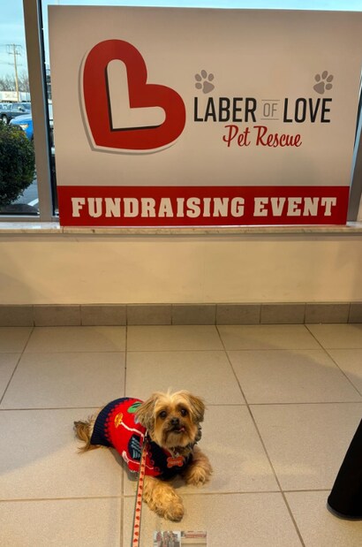 New and Used Chevrolet Dealer Troy OH | Serving Dayton, OH