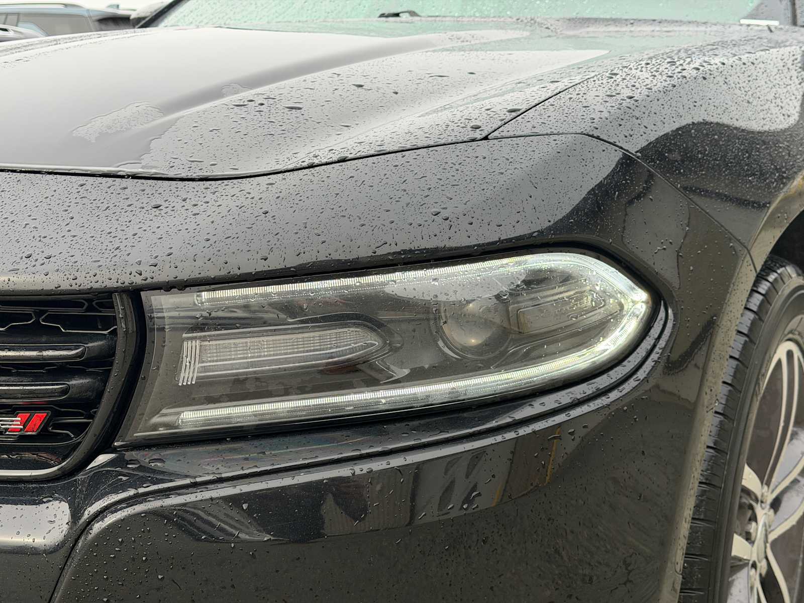 Thumbnail: 2019 Dodge Charger - 21