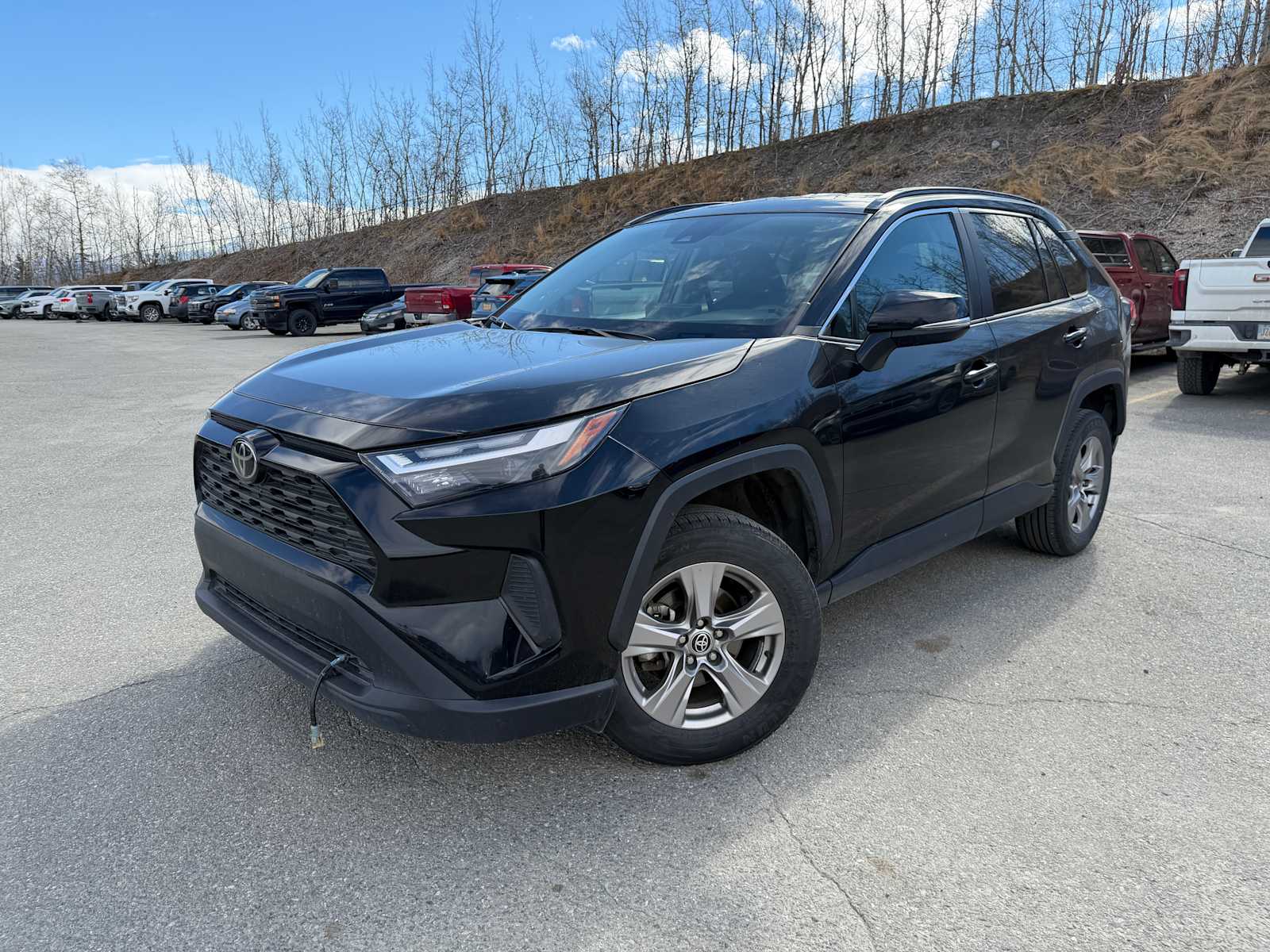 2023 Toyota RAV4 XLE FWD's photo
