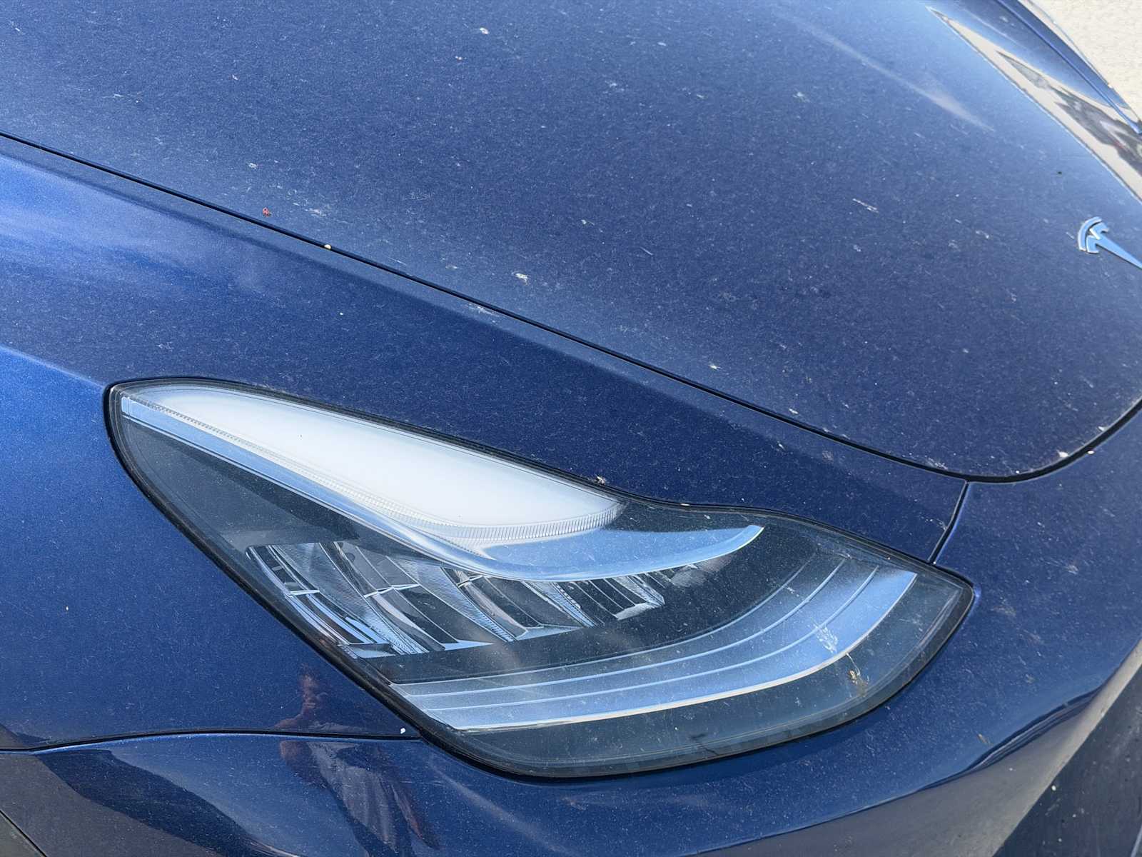 Thumbnail: 2023 Tesla Model Y - 17