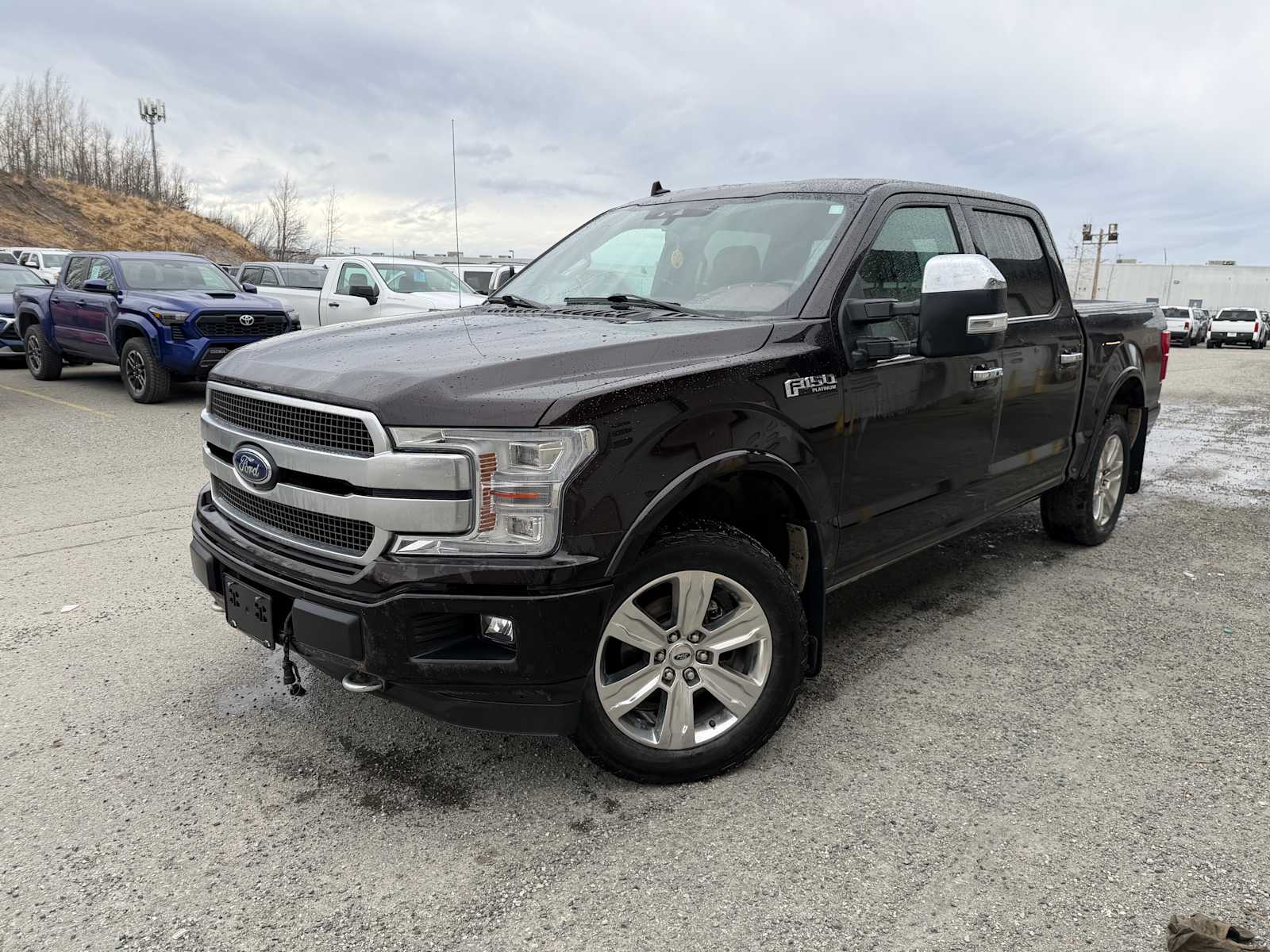 2020 Ford F-150 Platinum