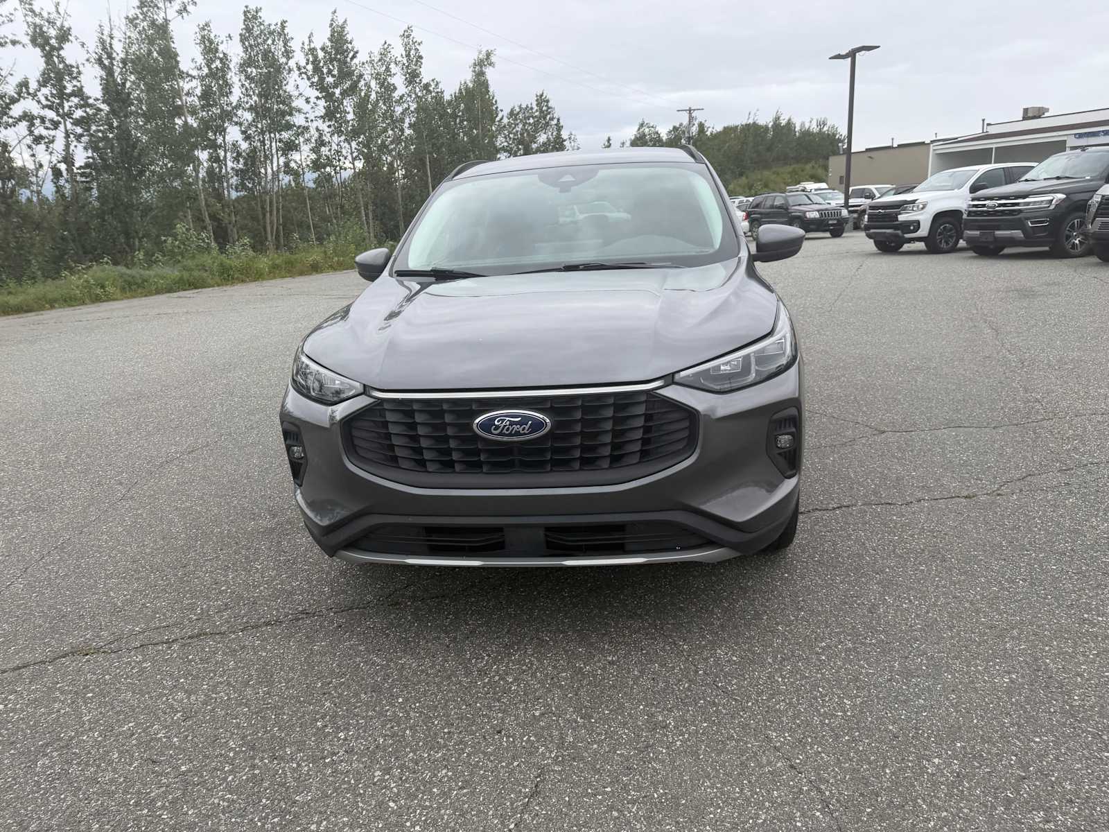 2025 Ford Escape Platinum - Photo 10