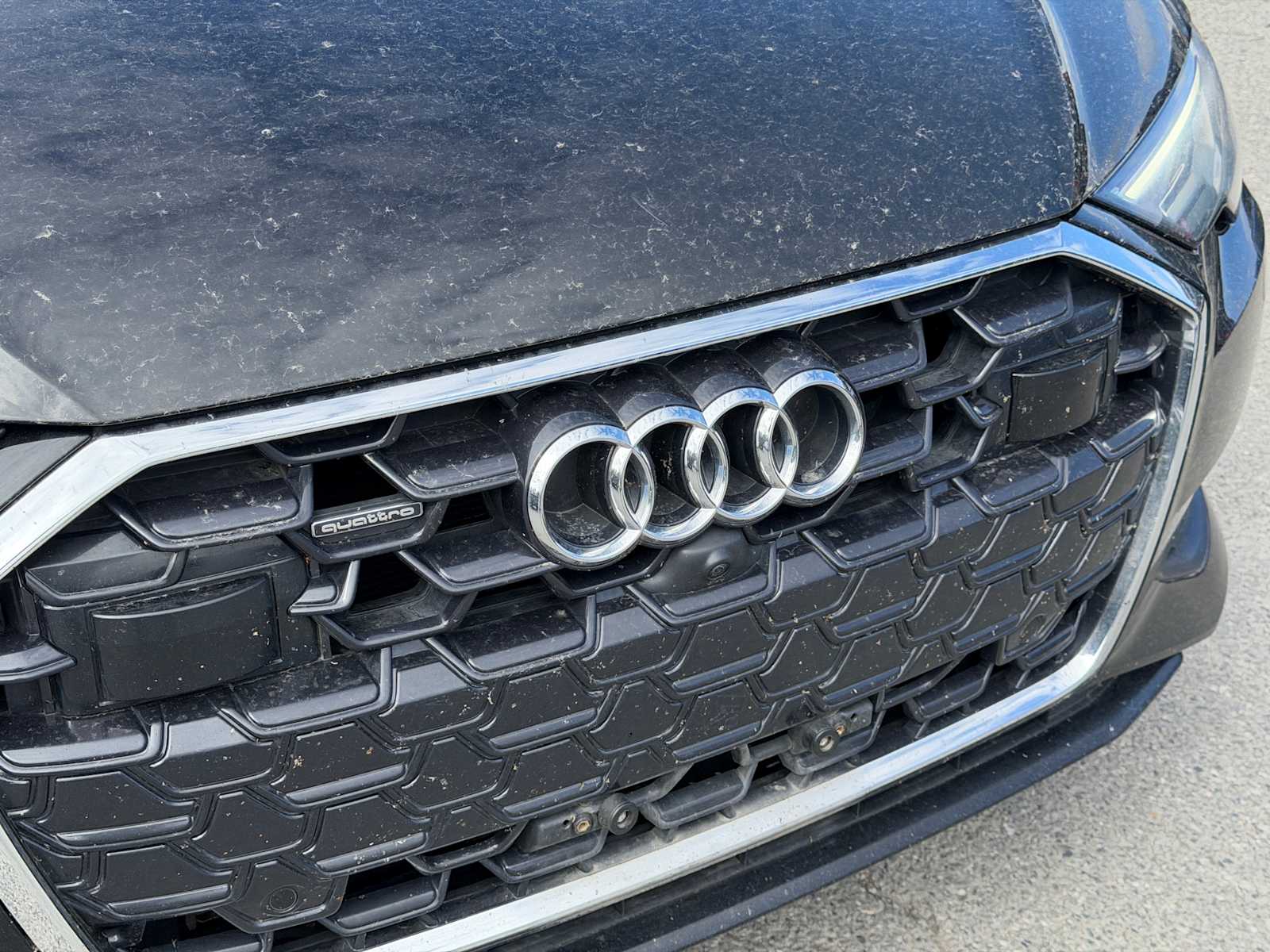 Thumbnail: 2024 Audi A6 - 14