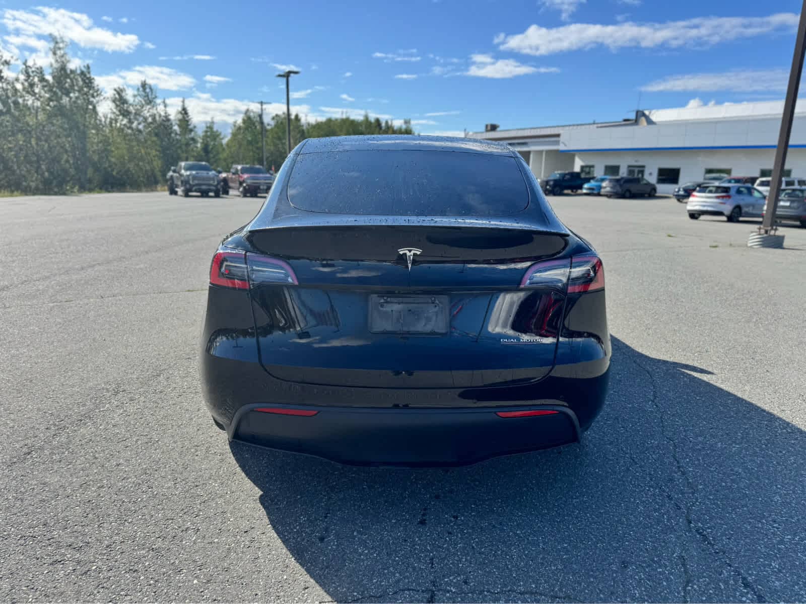 Thumbnail: 2021 Tesla Model Y - 4