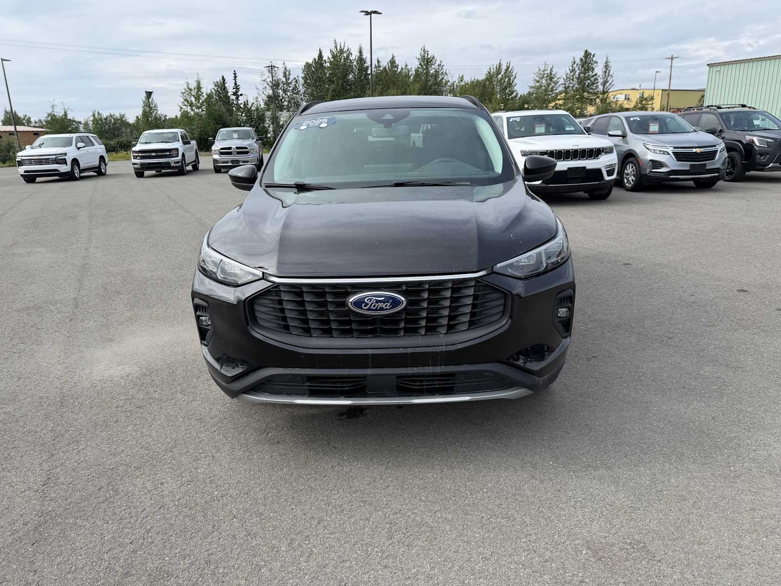 2025 Ford Escape Platinum - Photo 10