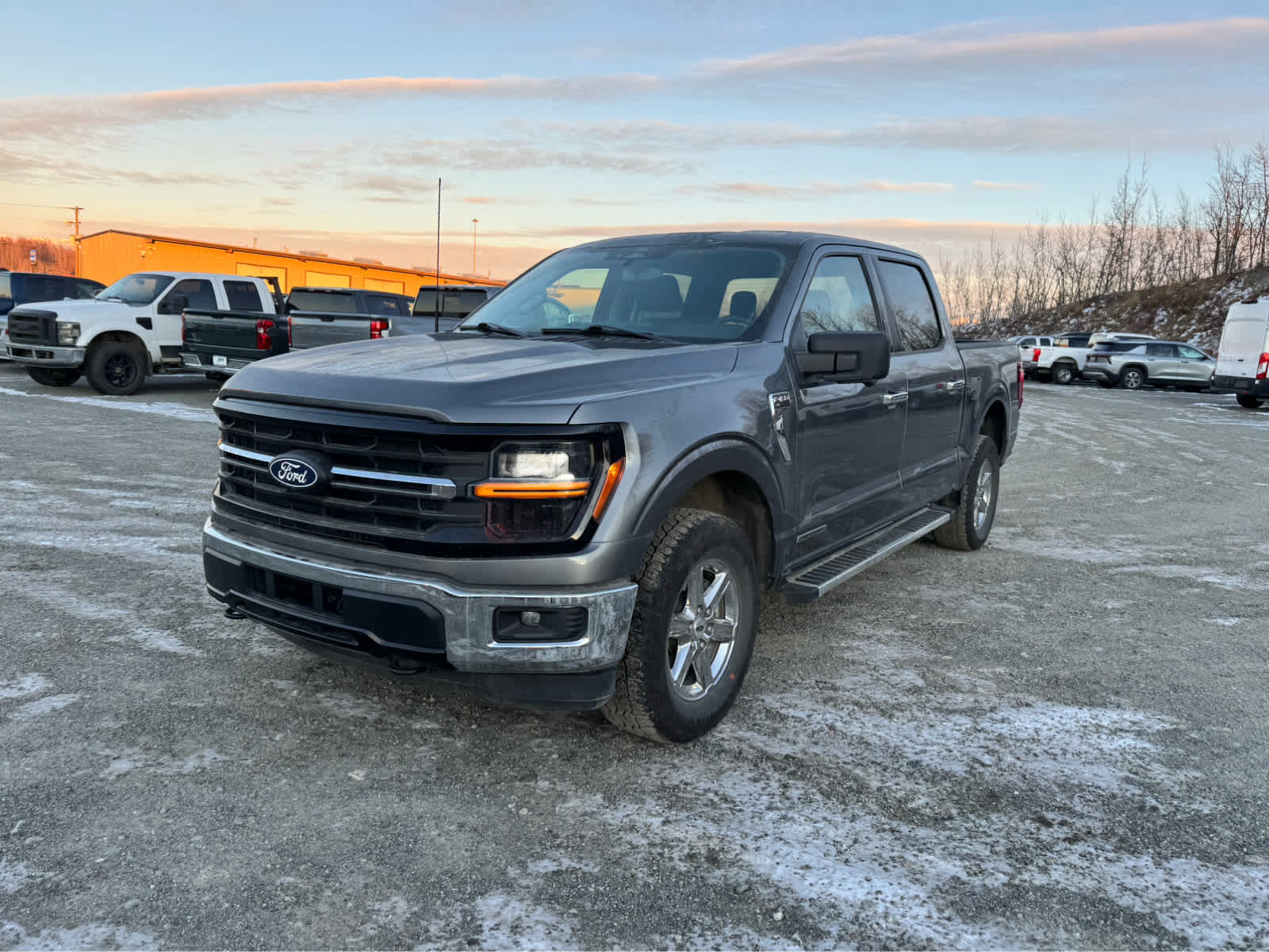 2024 Ford F-150 XLT's photo