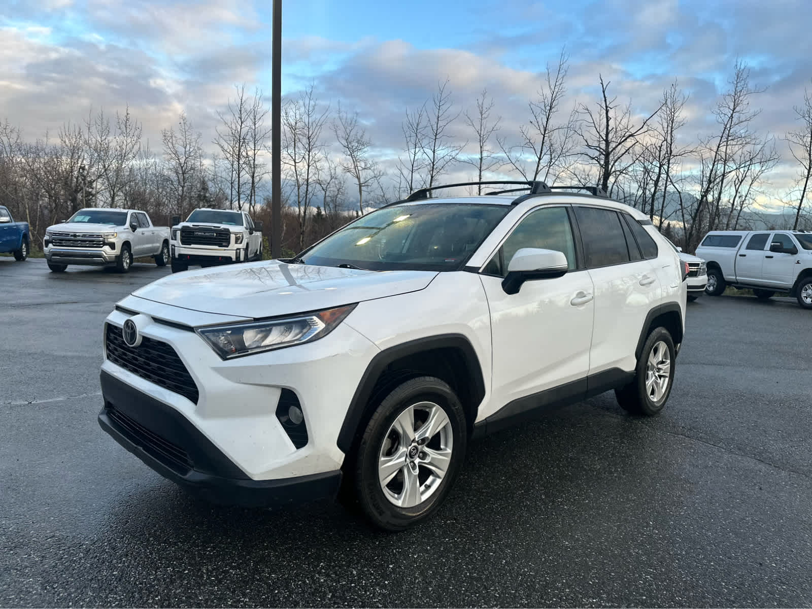 2019 Toyota RAV4 XLE