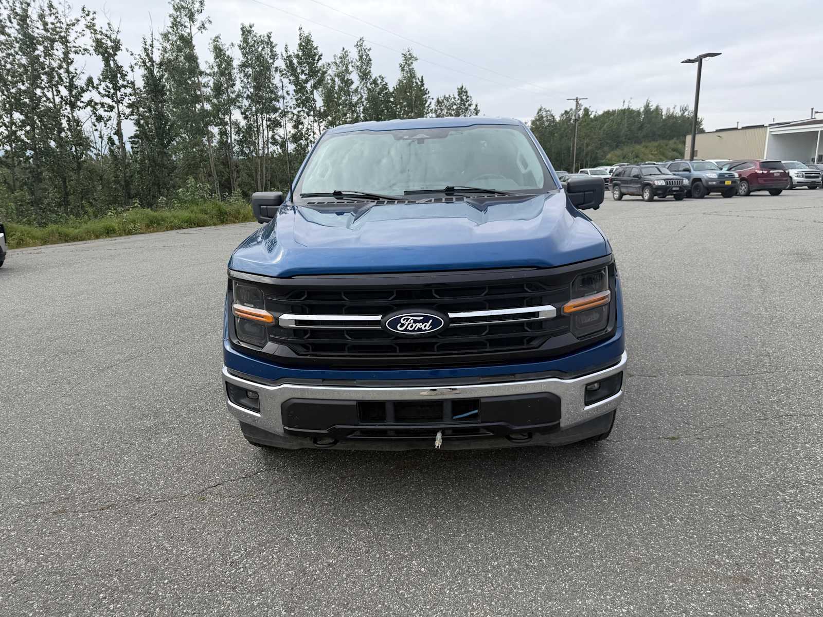 2024 Ford F-150 XLT - Photo 10