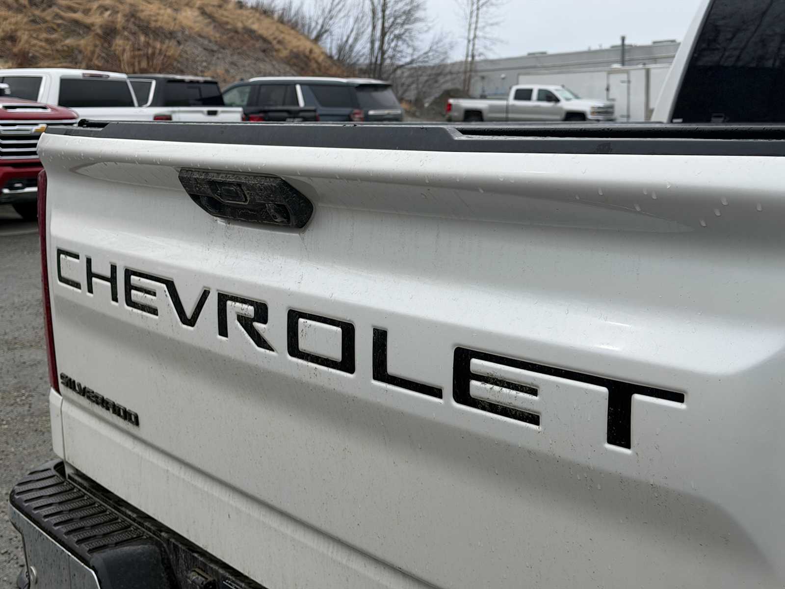 Thumbnail: 2025 Chevrolet Silverado 1500 - 22