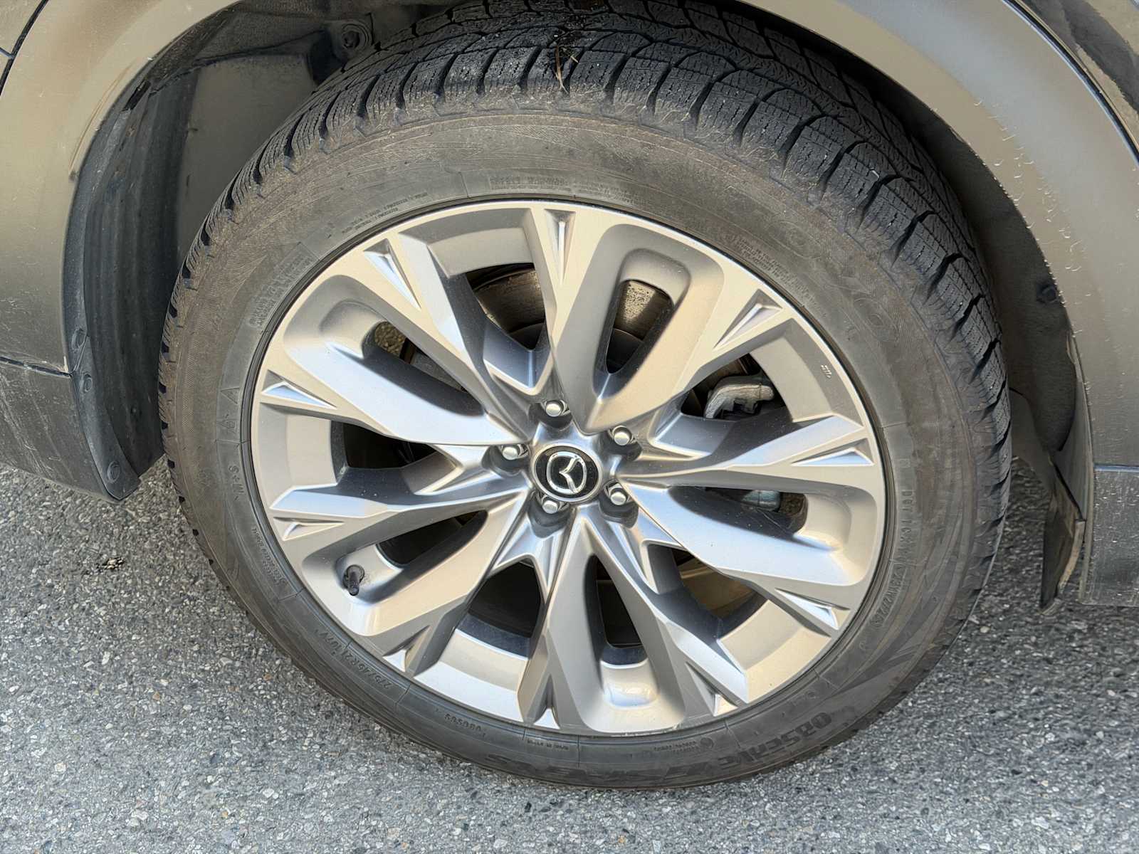 Photo 19