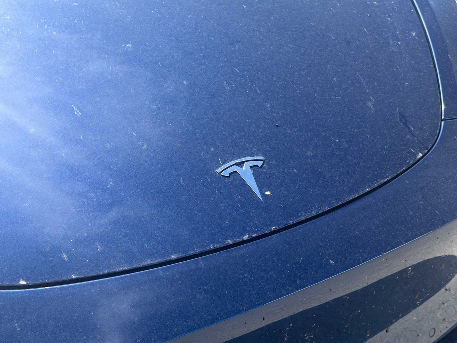 Thumbnail: 2023 Tesla Model Y - 16