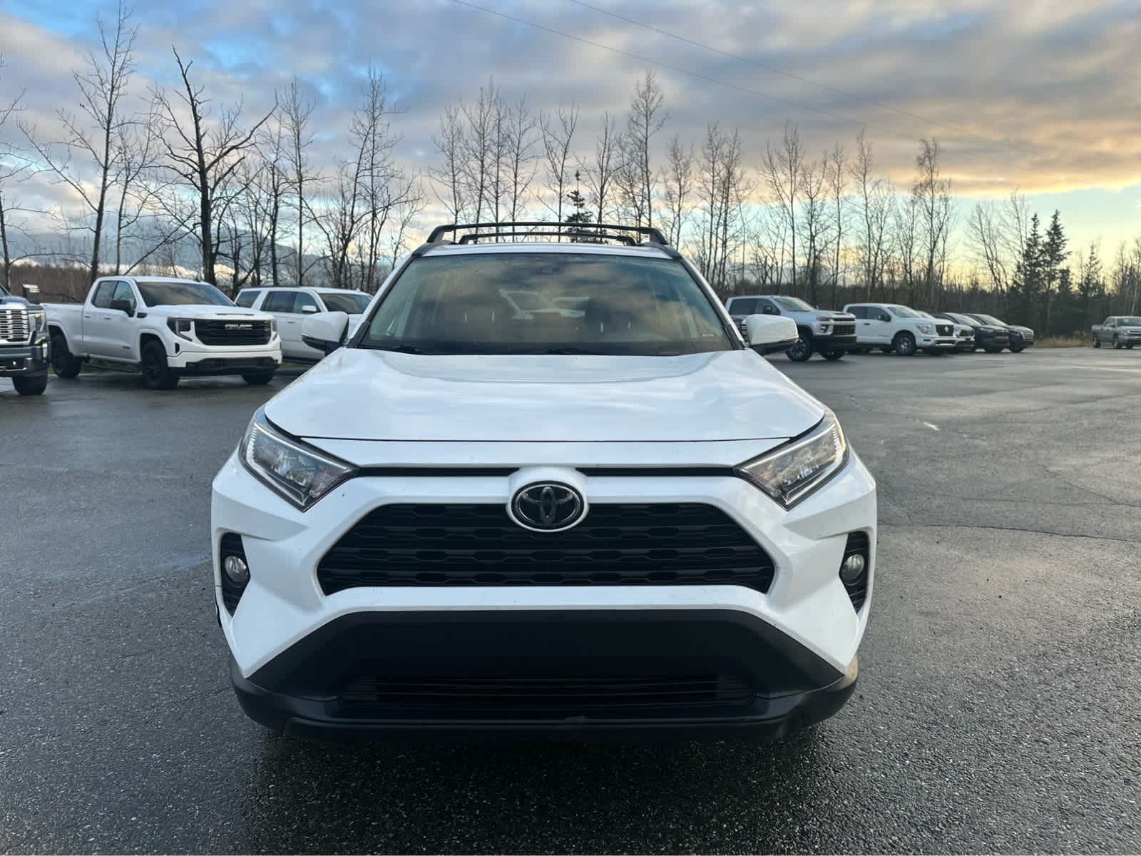 2019 Toyota RAV4 XLE photo 2