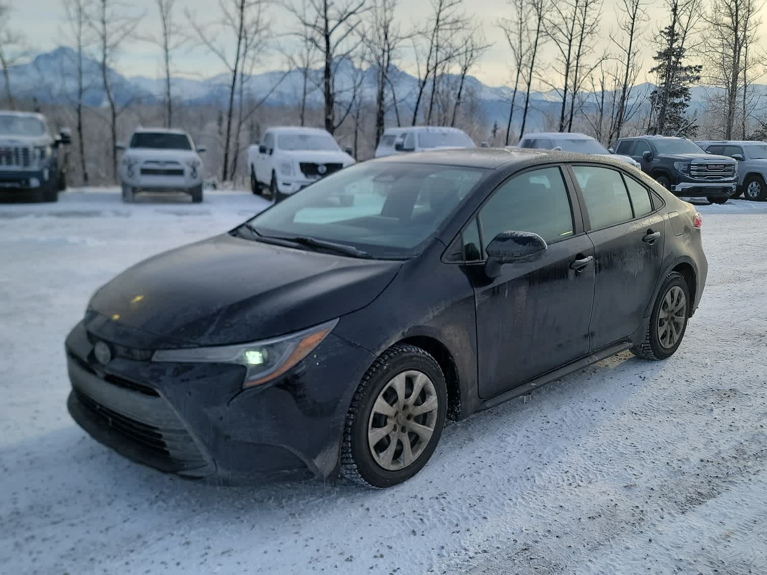 2024 Toyota Corolla LE's photo