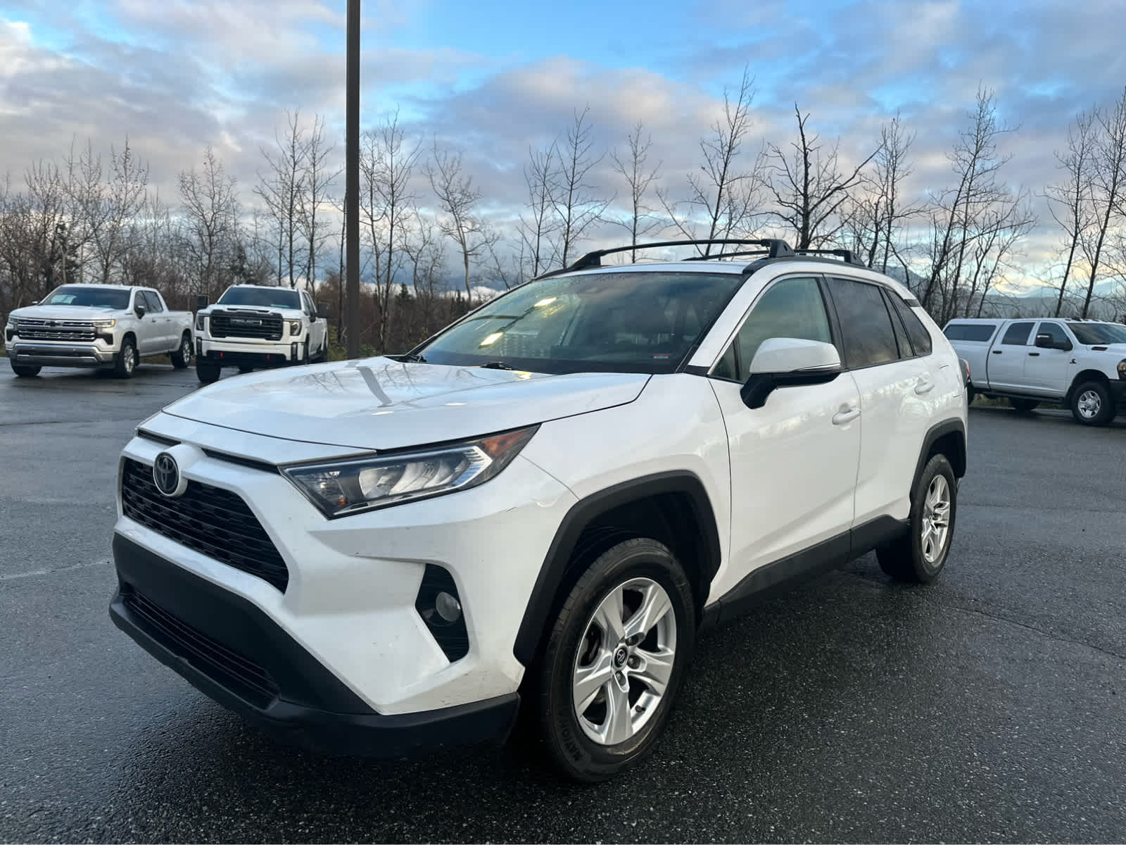 2019 Toyota RAV4 XLE photo 3