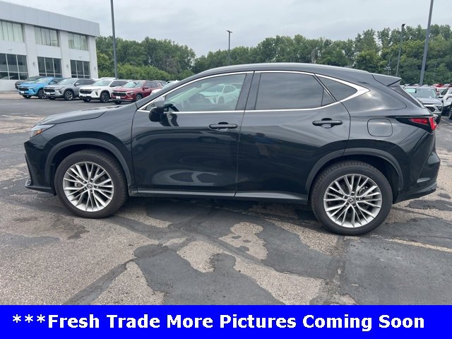 2024 Lexus NX NX 350 Luxury