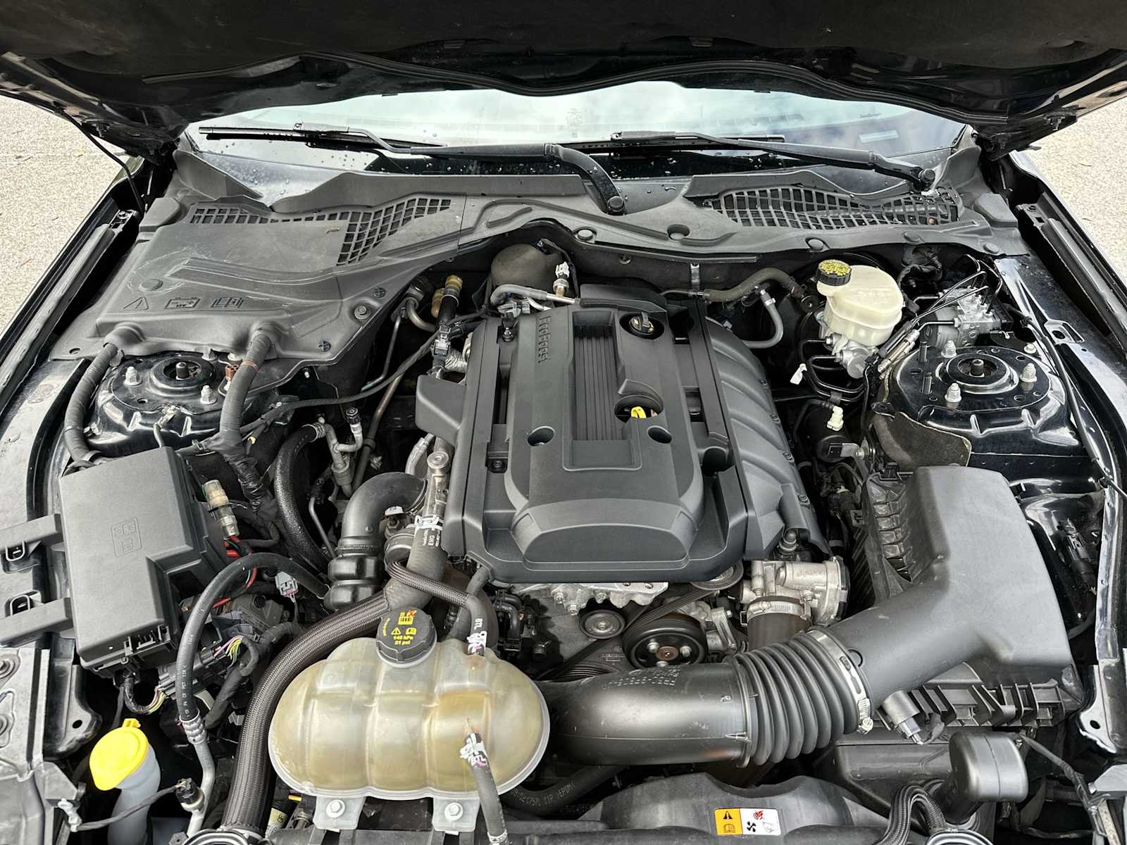 Thumbnail: 2017 Ford Mustang - 13