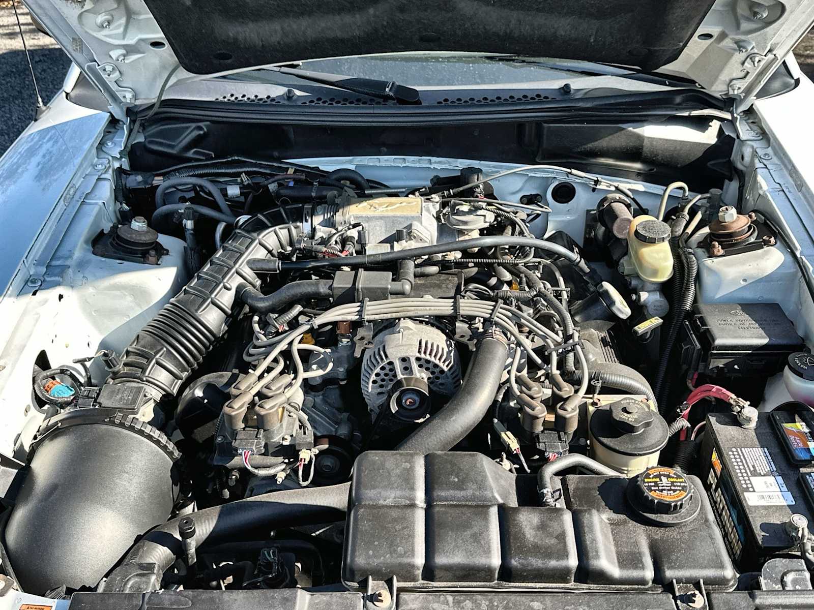 Thumbnail: 1998 Ford Mustang - 13