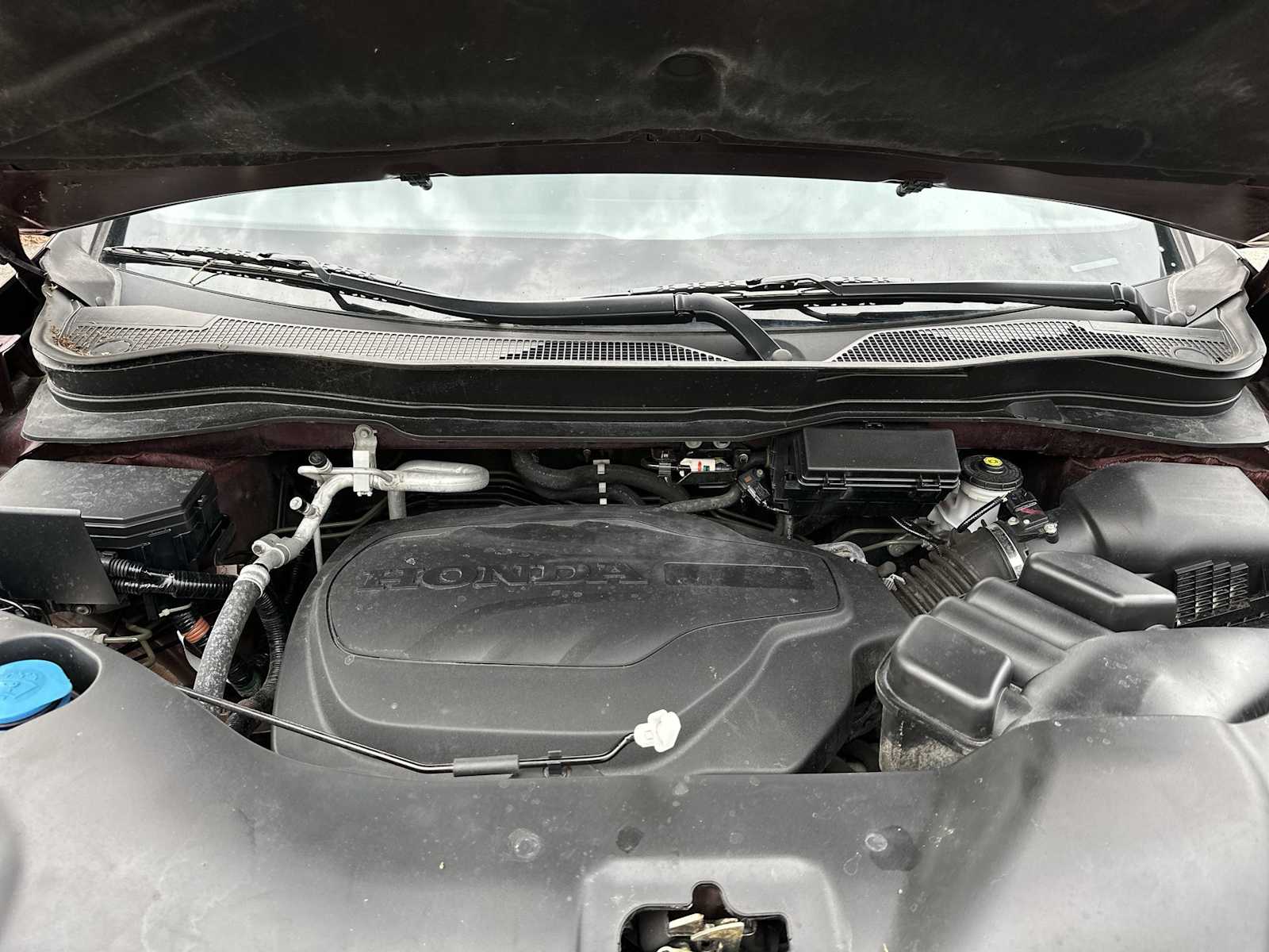 Thumbnail: 2021 Honda Passport - 12