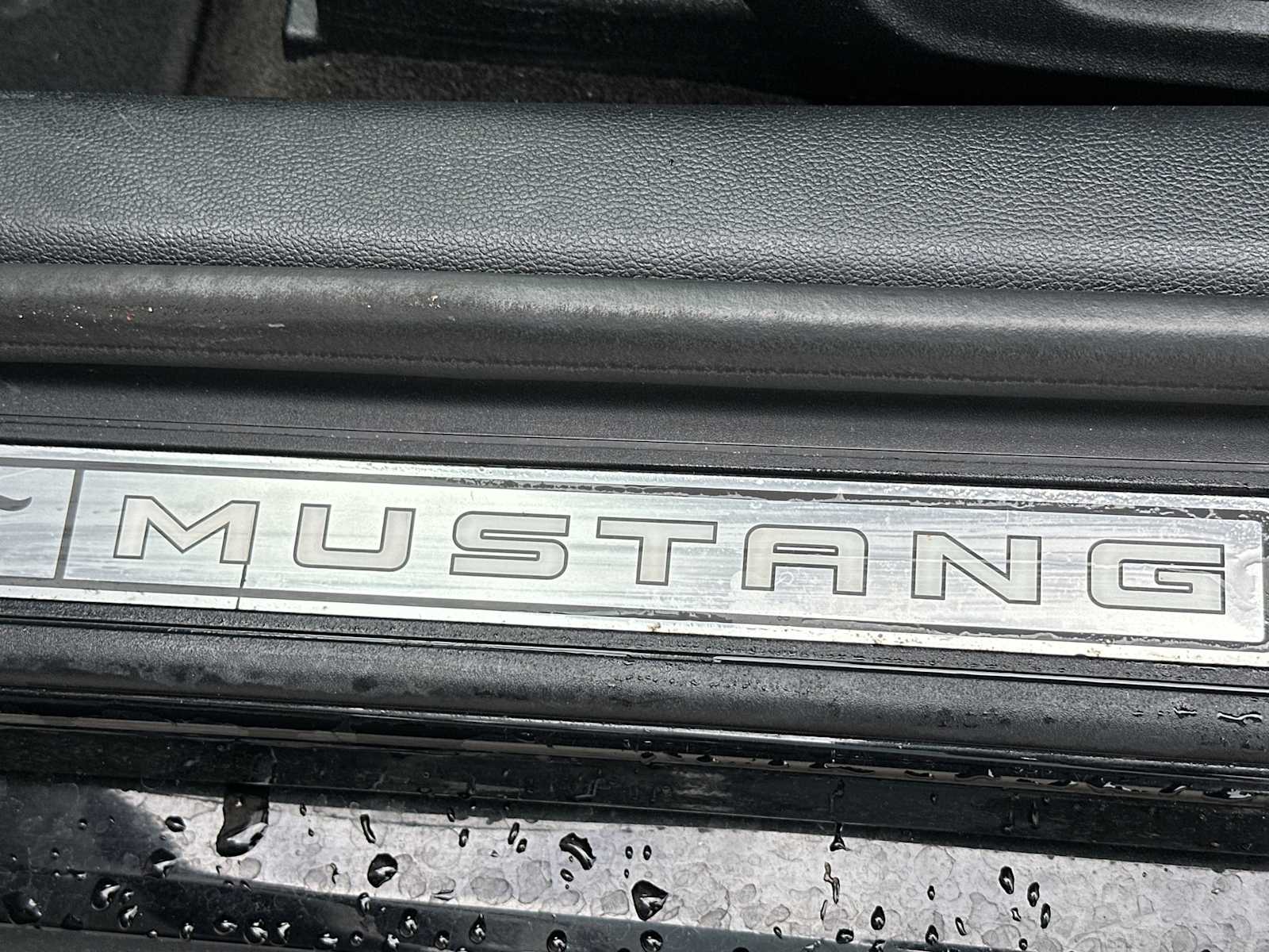 Thumbnail: 2017 Ford Mustang - 11