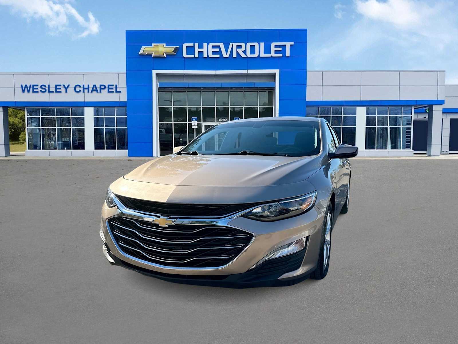 2019 Chevrolet Malibu LT -
                  Wesley Chapel, FL