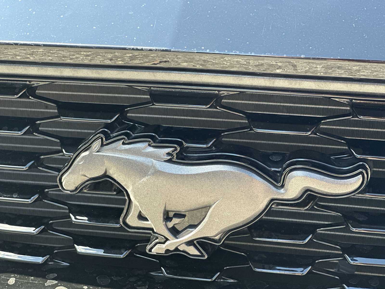 Thumbnail: 2022 Ford Mustang - 10