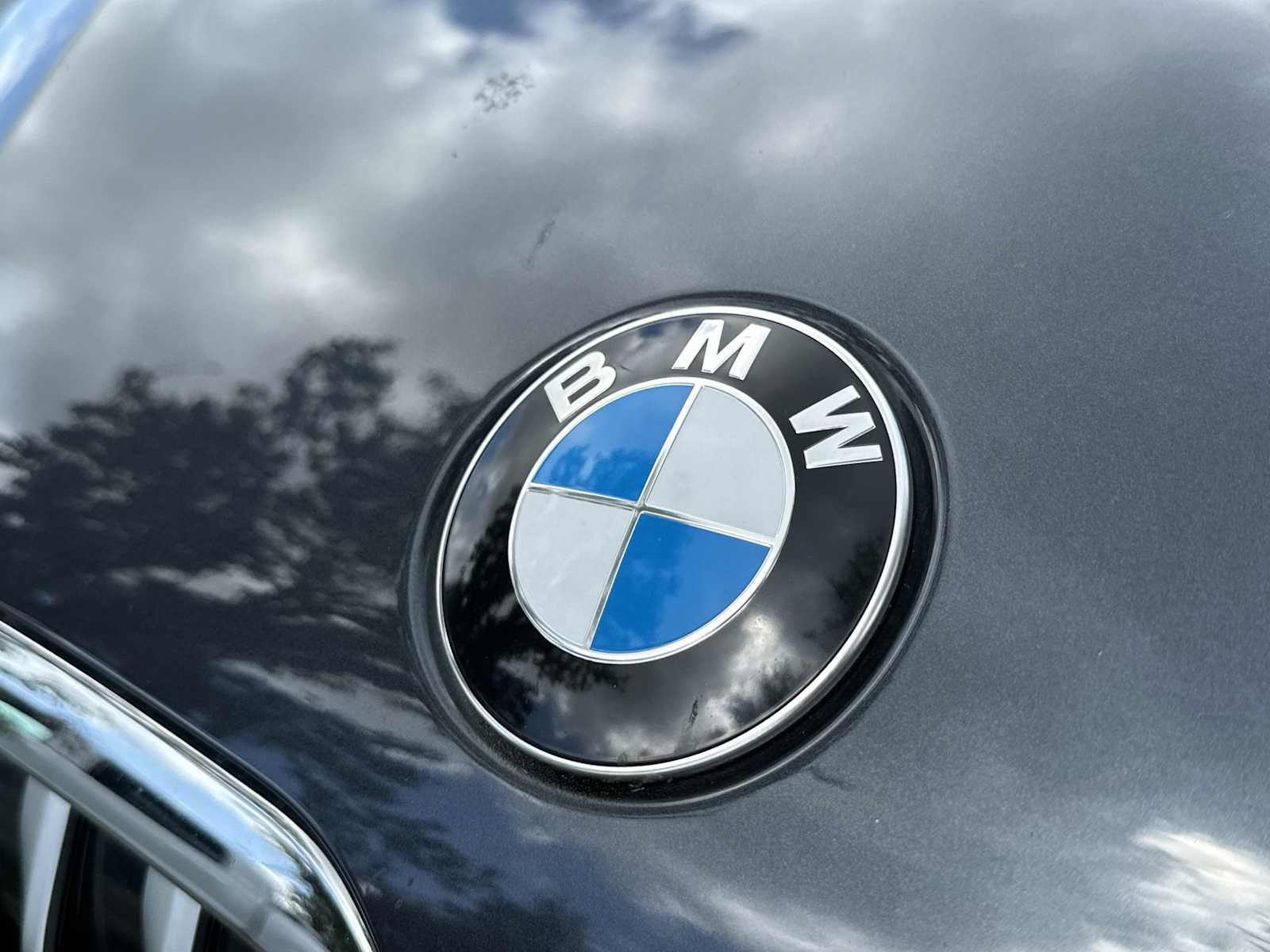 Thumbnail: 2019 BMW X7 - 10