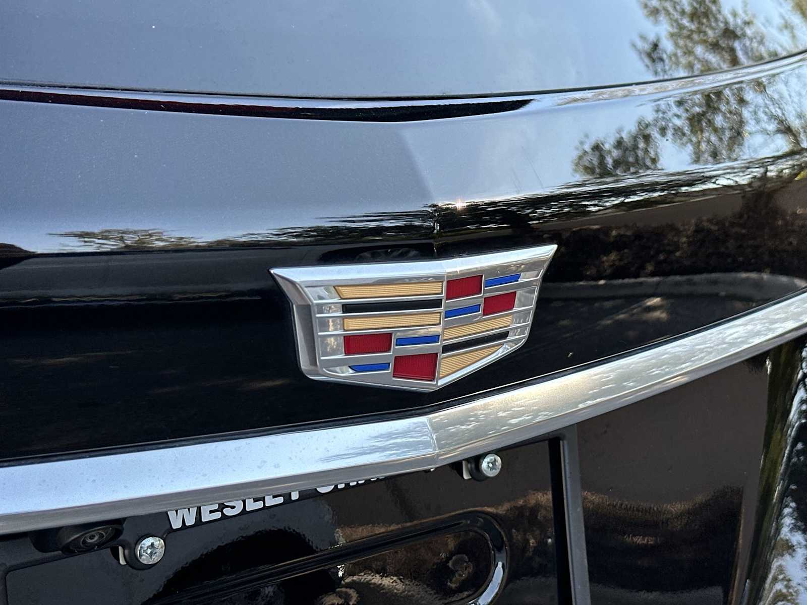 Thumbnail: 2025 Cadillac XT5 - 10