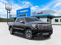 2025 GMC Sierra 1500 Denali Truck
