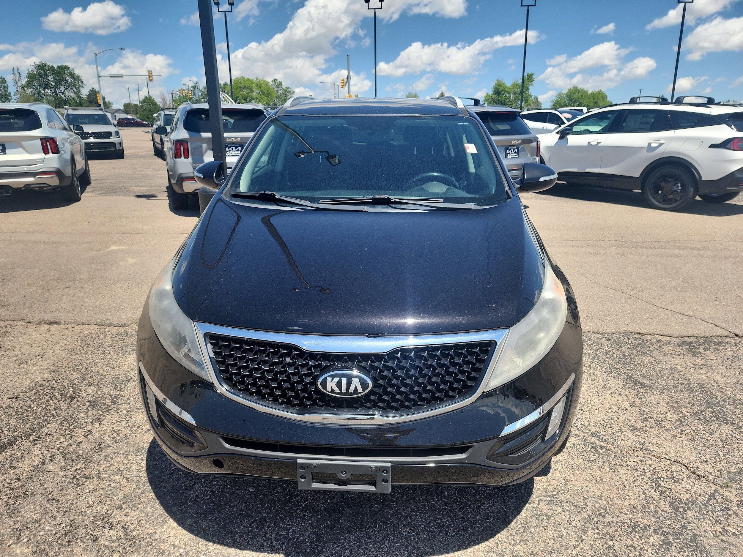 Used 2014 Kia Sportage EX with VIN KNDPCCAC6E7603436 for sale in Cheyenne, WY