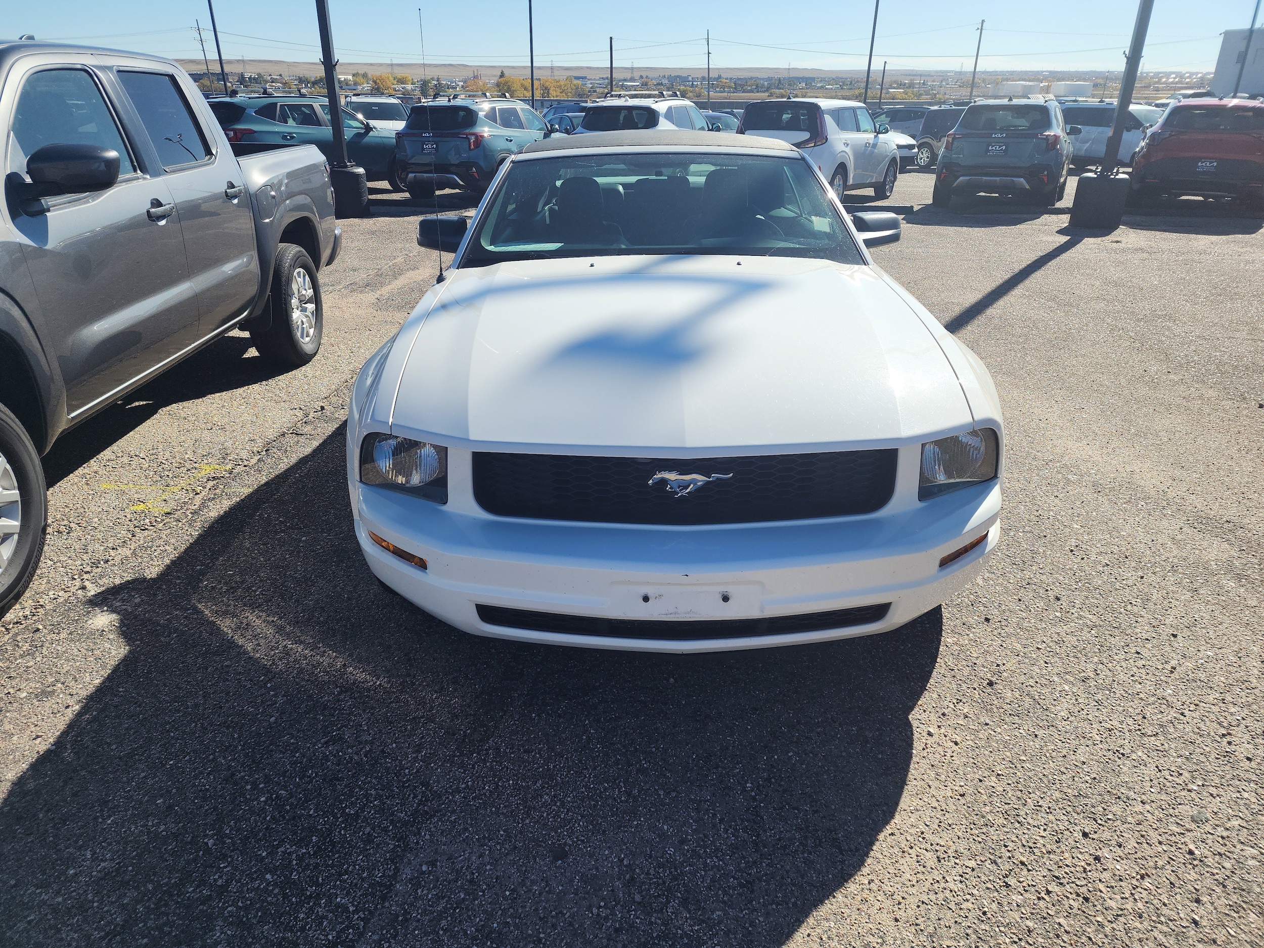 Used 2005 Ford Mustang Deluxe with VIN 1ZVHT84N955234756 for sale in Cheyenne, WY
