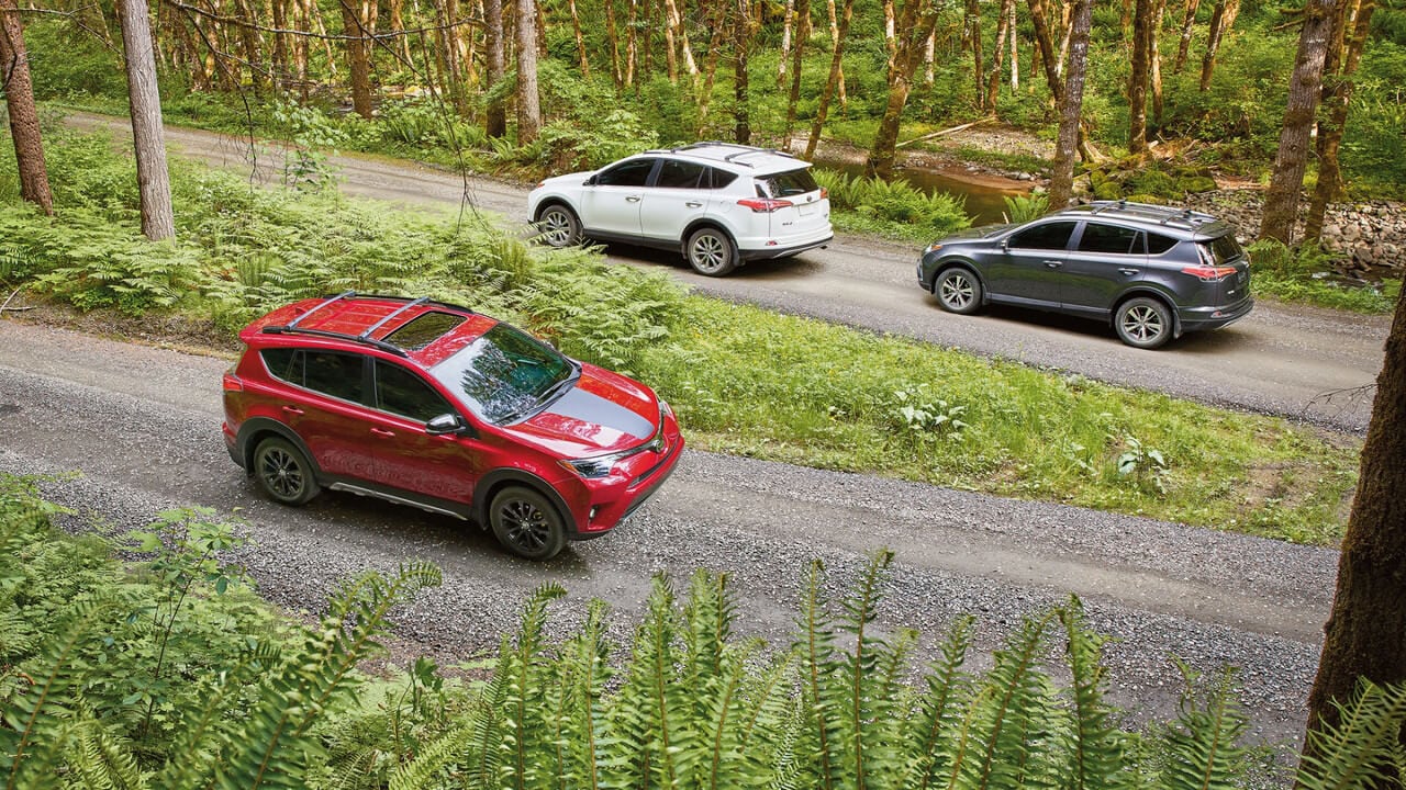2018 RAV4 Trio