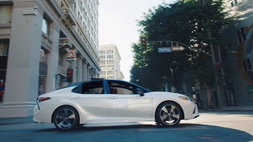 2019 Toyota Camry in Wind Chill Pearl with Midnight Black Metallic Roof