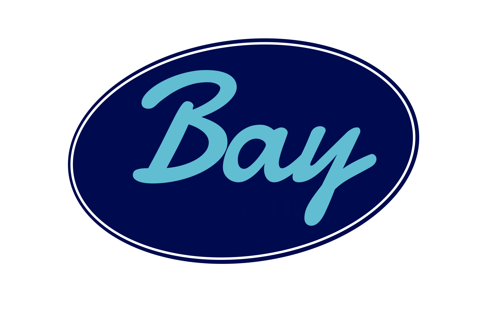 Our Dealerships Chief Auto Group