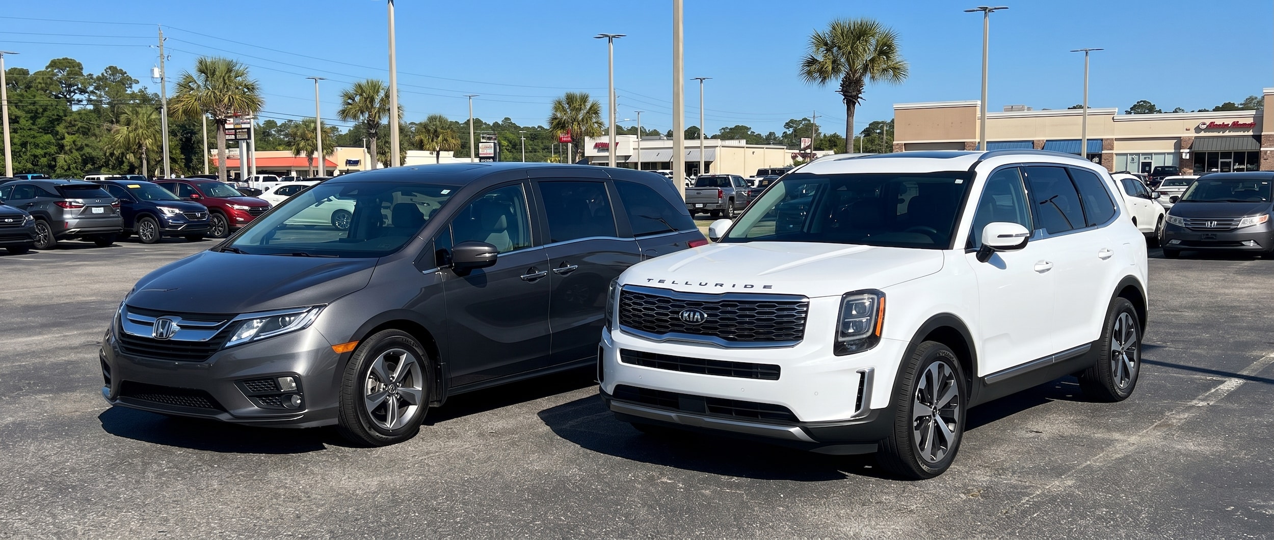 A used family SUV and minivan parked side by side in a sunny Florida parking lot with palm trees visible in the background, representing Gulf Coast family vehicle shopping in the summer heat