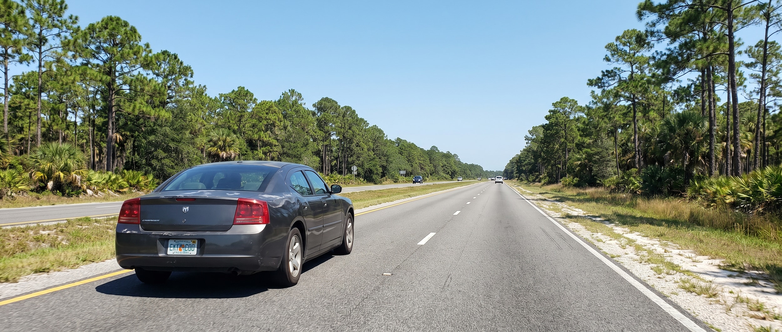 Used Dodge Charger on US 231 highway through north Bay County Florida pine flatwoods 2026