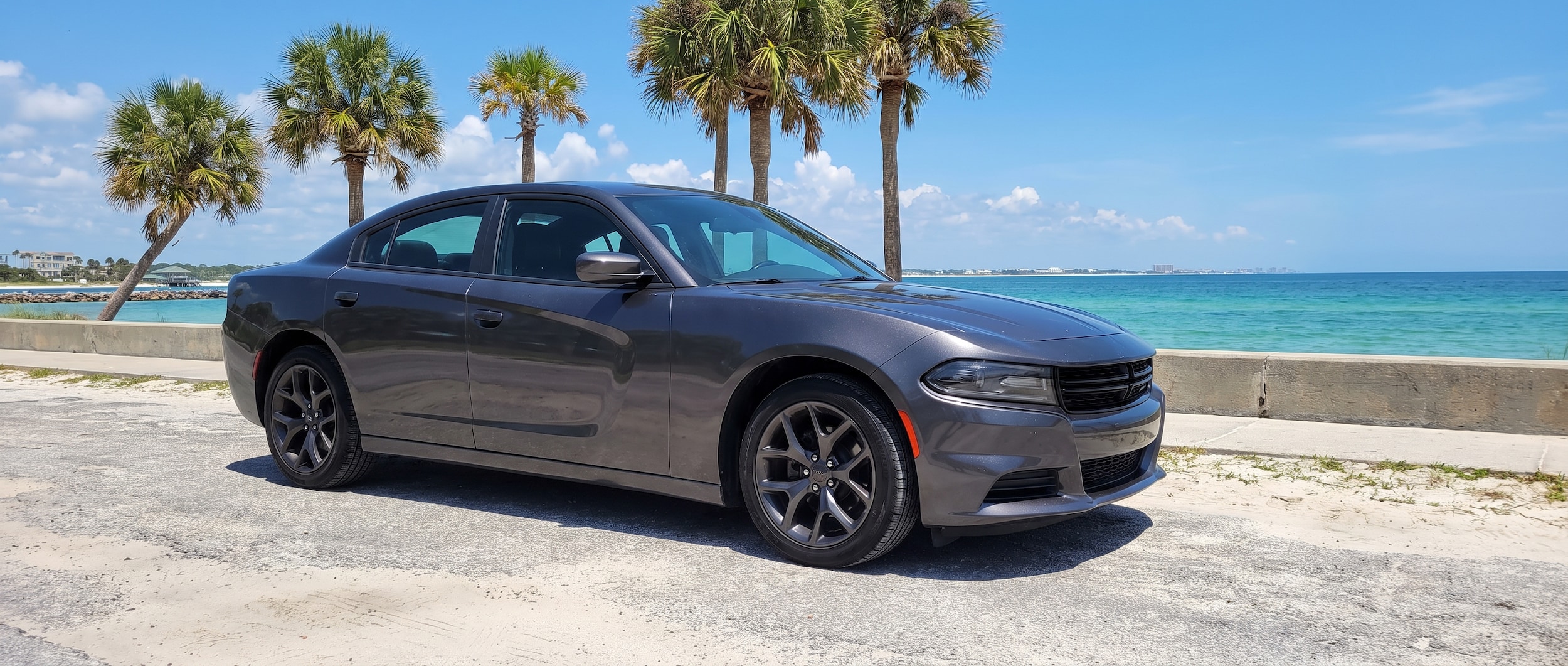 A used Dodge Charger sedan parked near a Gulf Coast waterfront in Panama City, FL, on a sunny summer day -- dark exterior, clean, sporty four-door body, palm trees and blue water visible in the background
