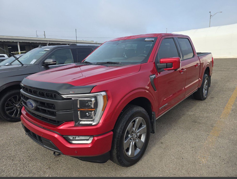 Used 2022 Ford F-150 Lariat with VIN 1FTFW1ED2NFB31588 for sale in Chiefland, FL