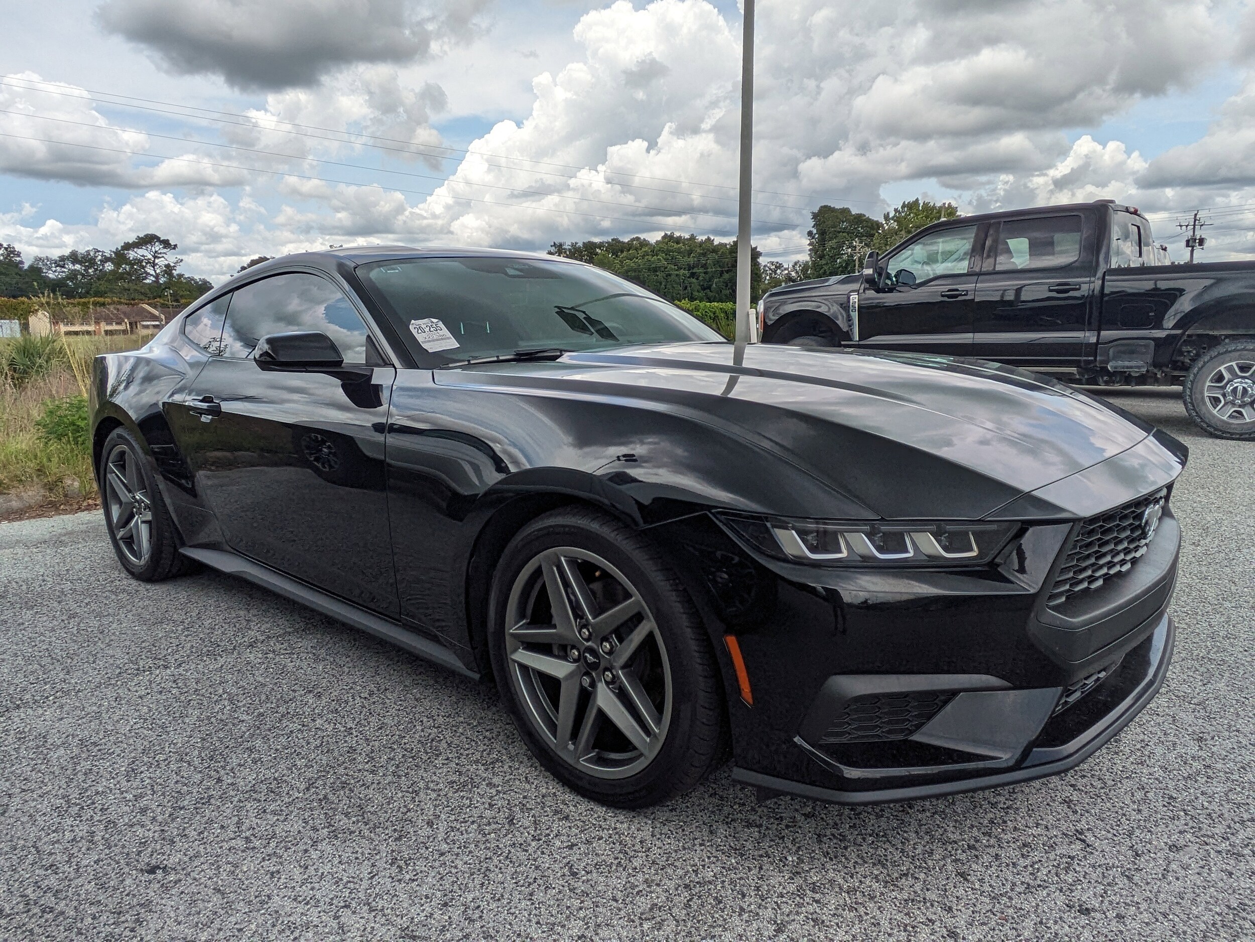 Used 2024 Ford Mustang EcoBoost with VIN 1FA6P8TH9R5135506 for sale in Chiefland, FL