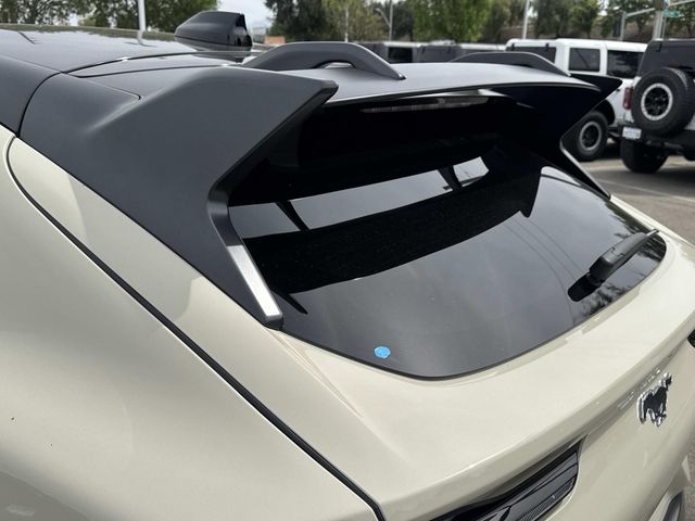 2025 Ford Mustang Mach-E GT photo 6