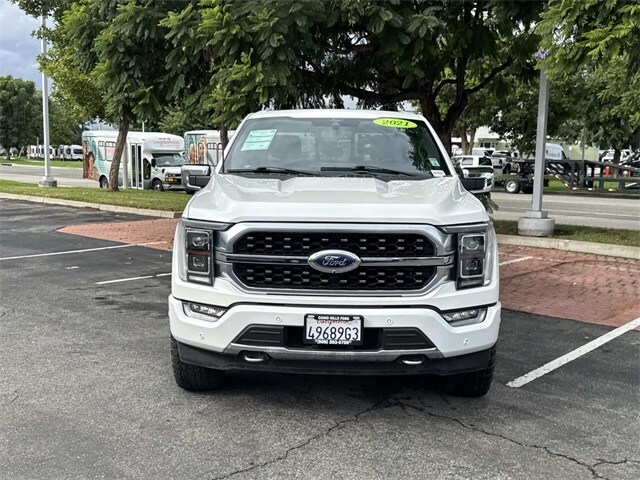 2021 Ford F-150 Platinum photo 2