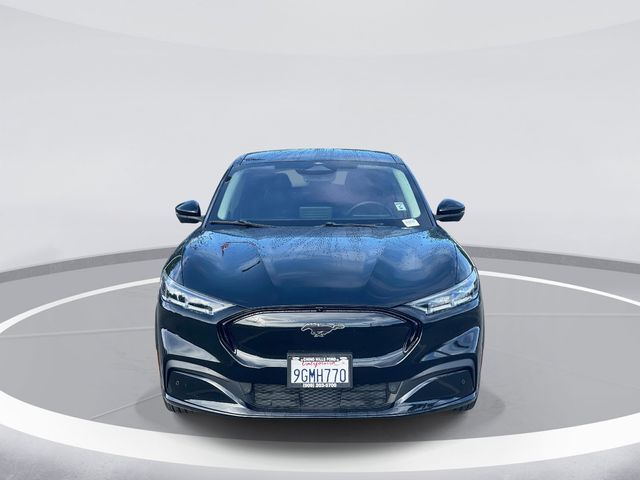 Used 2023 Ford Mustang Mach-E Premium RWD with VIN 3FMTK3RM5PMA17801 for sale in San Juan Capistrano, CA