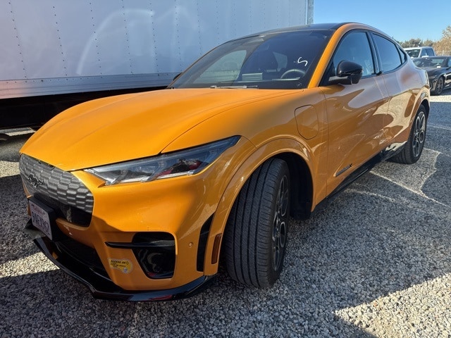 2021 Ford Mustang Mach-E GT AWD's photo