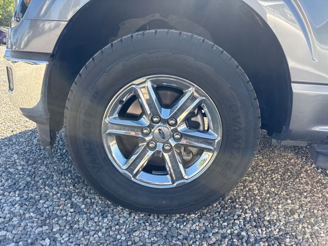 2024 Ford F-150 XLT photo 6