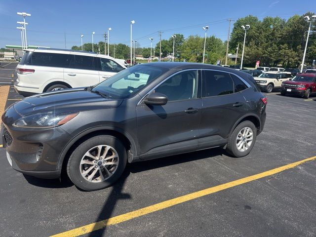 2020 Ford Escape SE AWD's photo